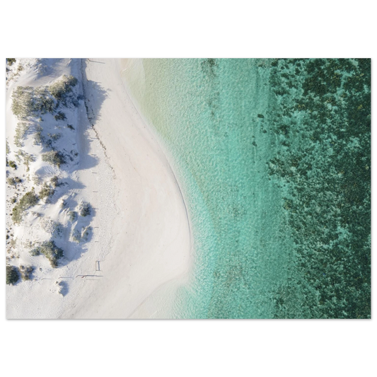 146eb716-c09f-4676-9fff-08a3445e01a9