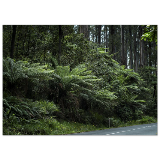 22c42a7c-1b08-4e1e-a562-c104dbc0a575