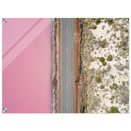 a4381e61-e727-4fd3-90bd-fddfdbd7f6f3