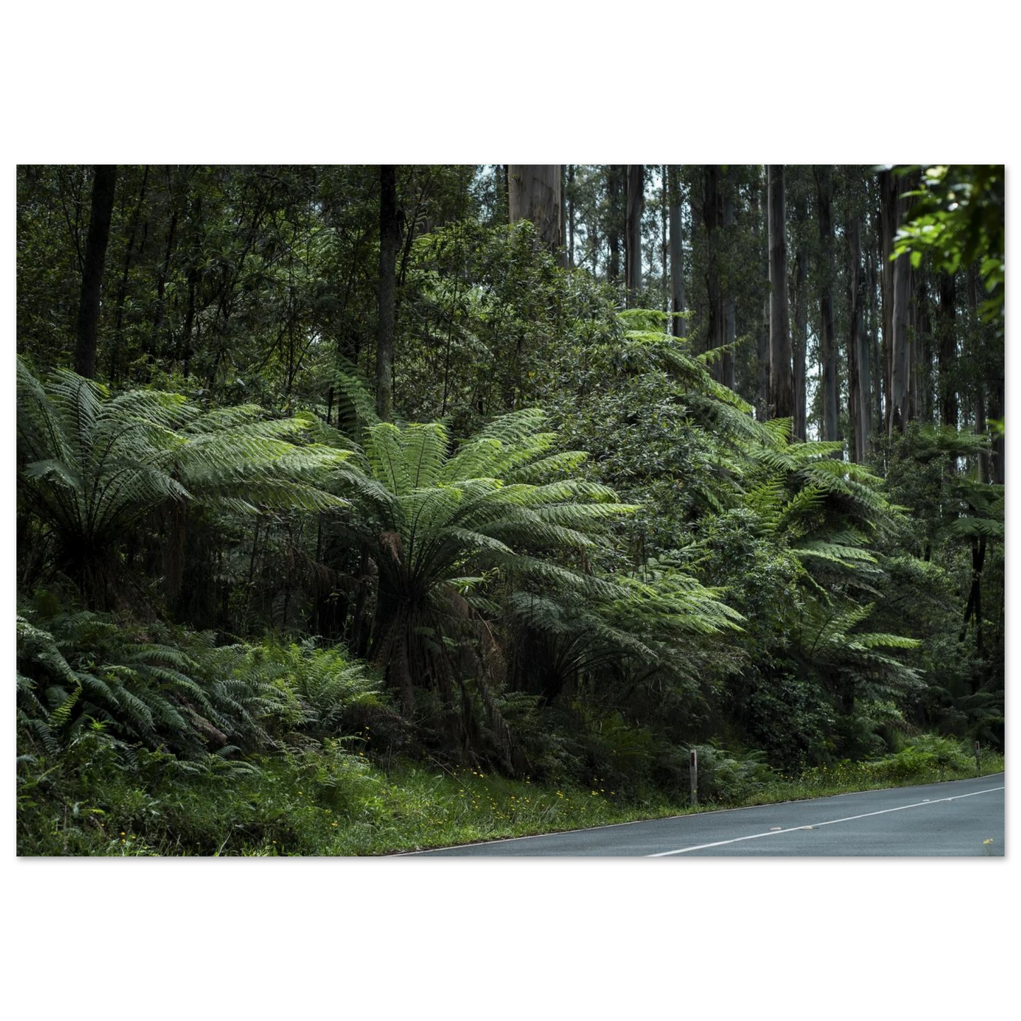 0344cb96-9a72-413d-8d0b-416dd0f0fac9