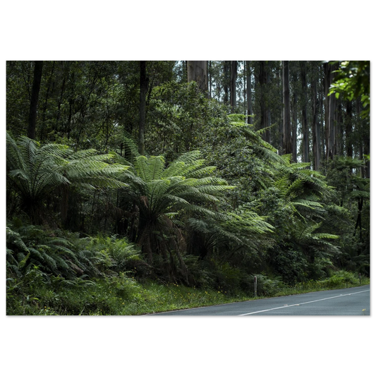 0344cb96-9a72-413d-8d0b-416dd0f0fac9