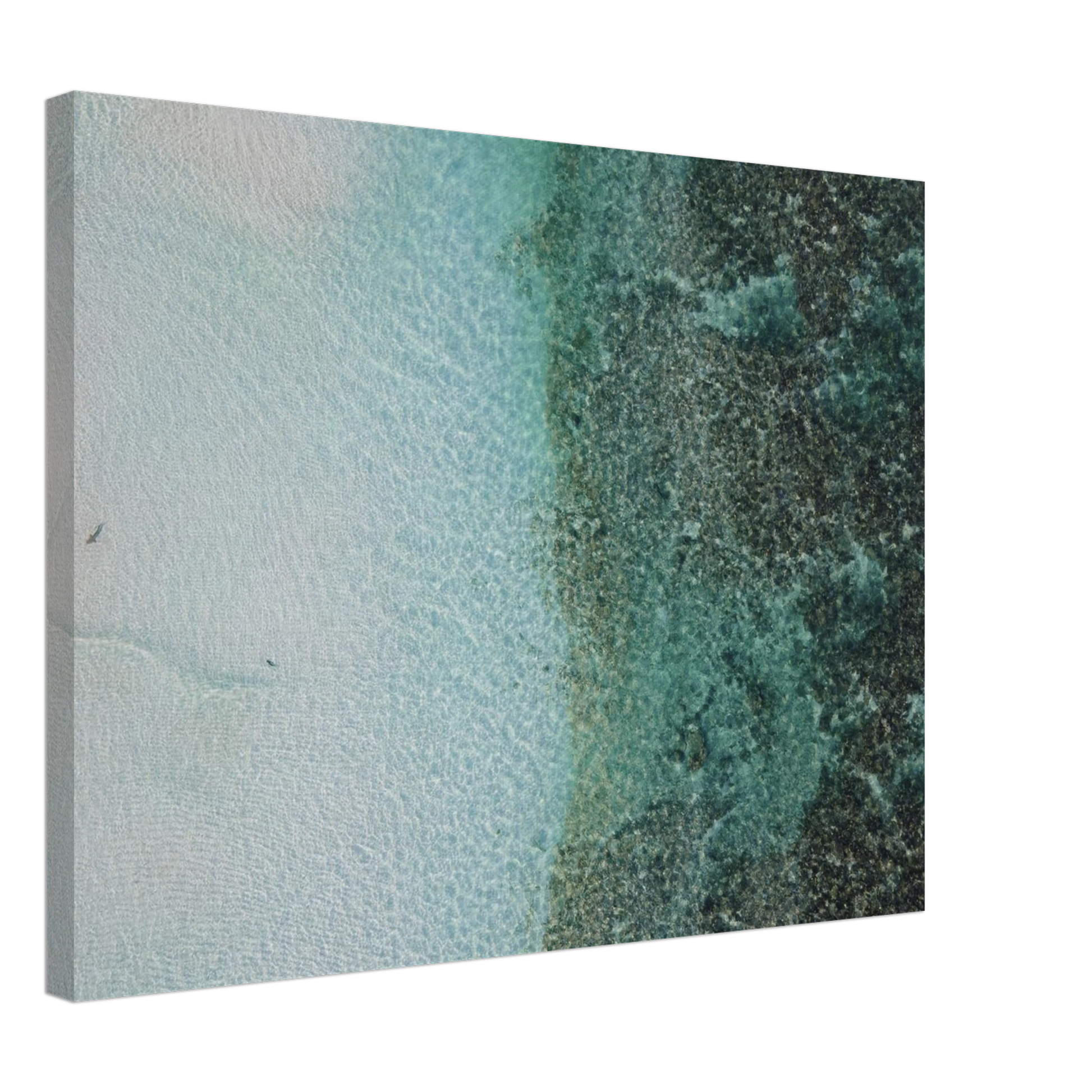 09ffff35-d9bf-4225-90b7-8756ec049a58