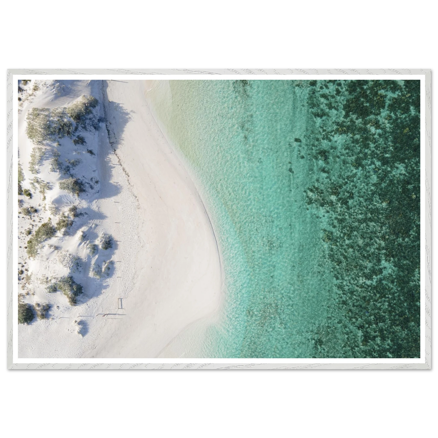 0cc15599-59f9-47af-9056-249855f50239