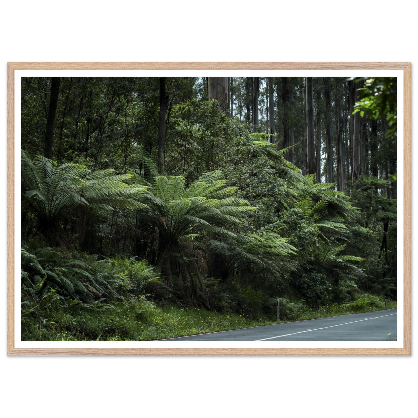 0f6268cd-6018-4328-8c11-929fec51e4c0