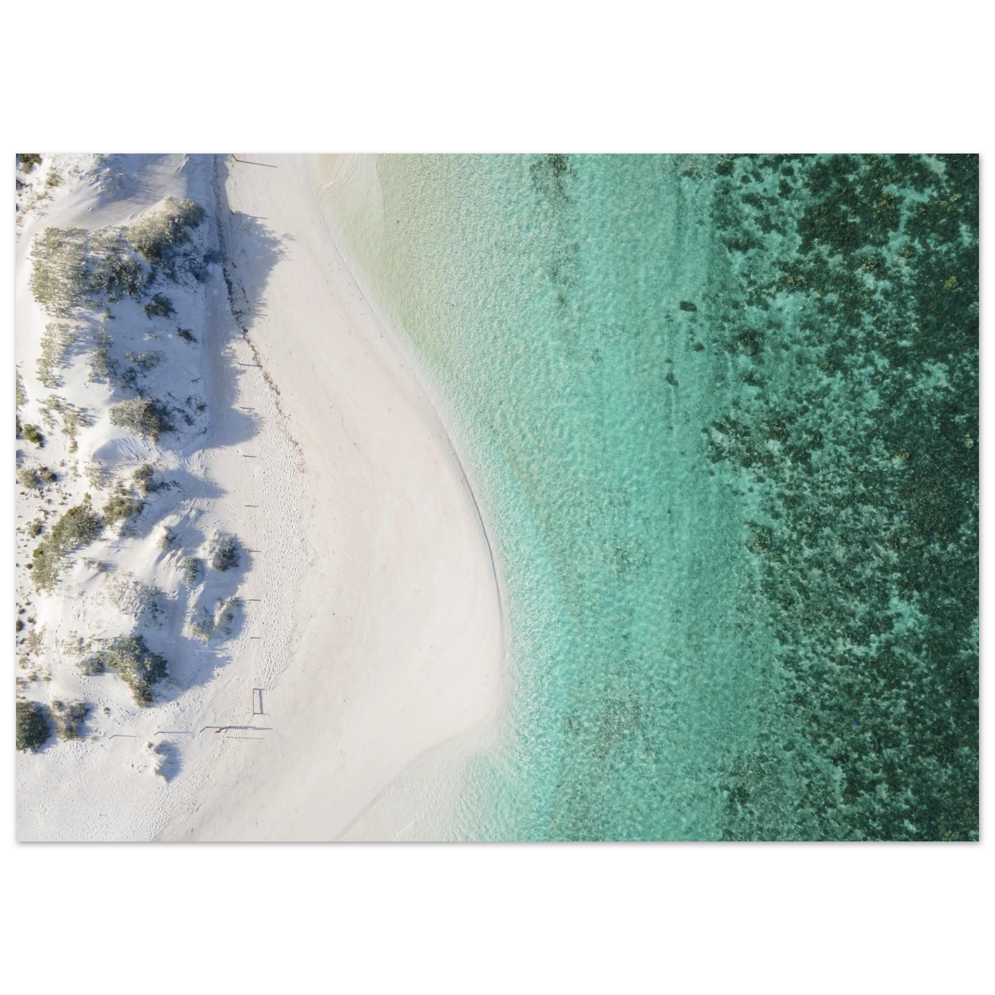 146eb716-c09f-4676-9fff-08a3445e01a9