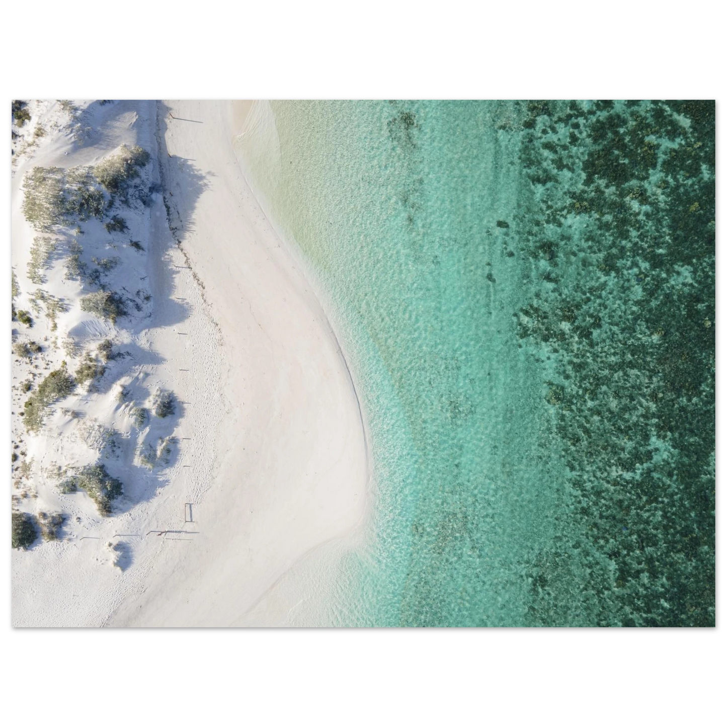 1e434cf9-ecd4-4ddf-81a5-294e4bd50496