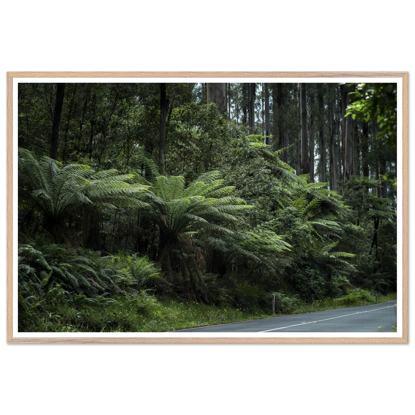 21529d17-b734-4eb0-acab-393950560cdb