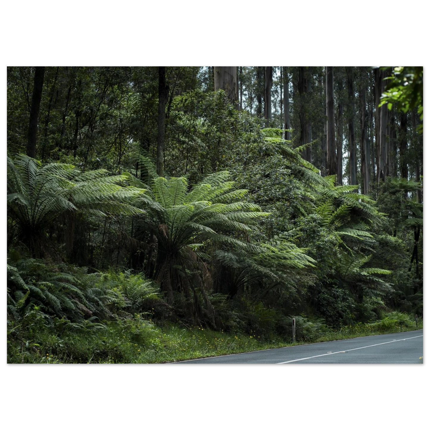 22c42a7c-1b08-4e1e-a562-c104dbc0a575