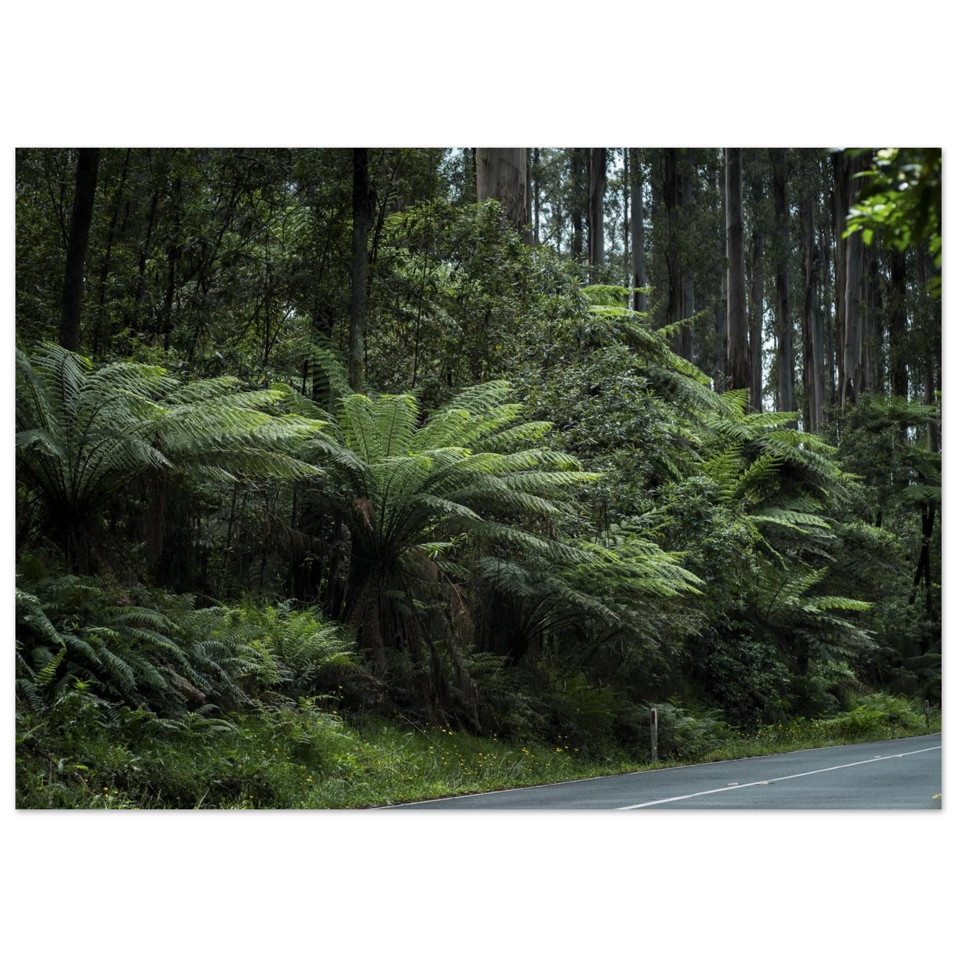 22c42a7c-1b08-4e1e-a562-c104dbc0a575