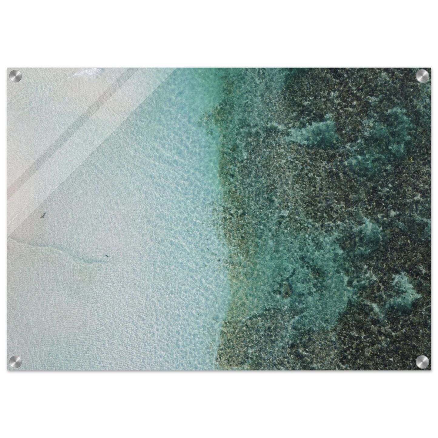 23290a7b-cb02-4d4e-9506-7a9d94e59068