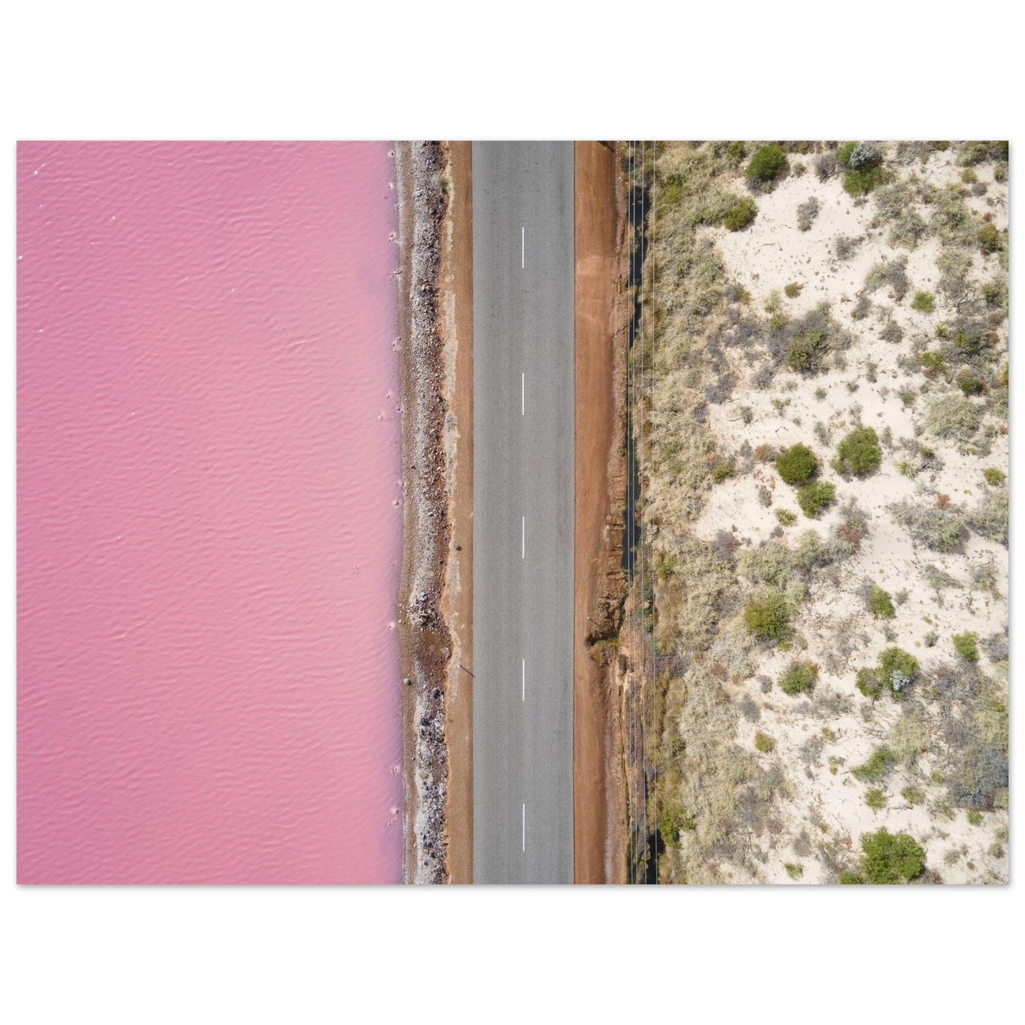 2b0d8e09-0c6f-44e4-9113-e2474d4755fc