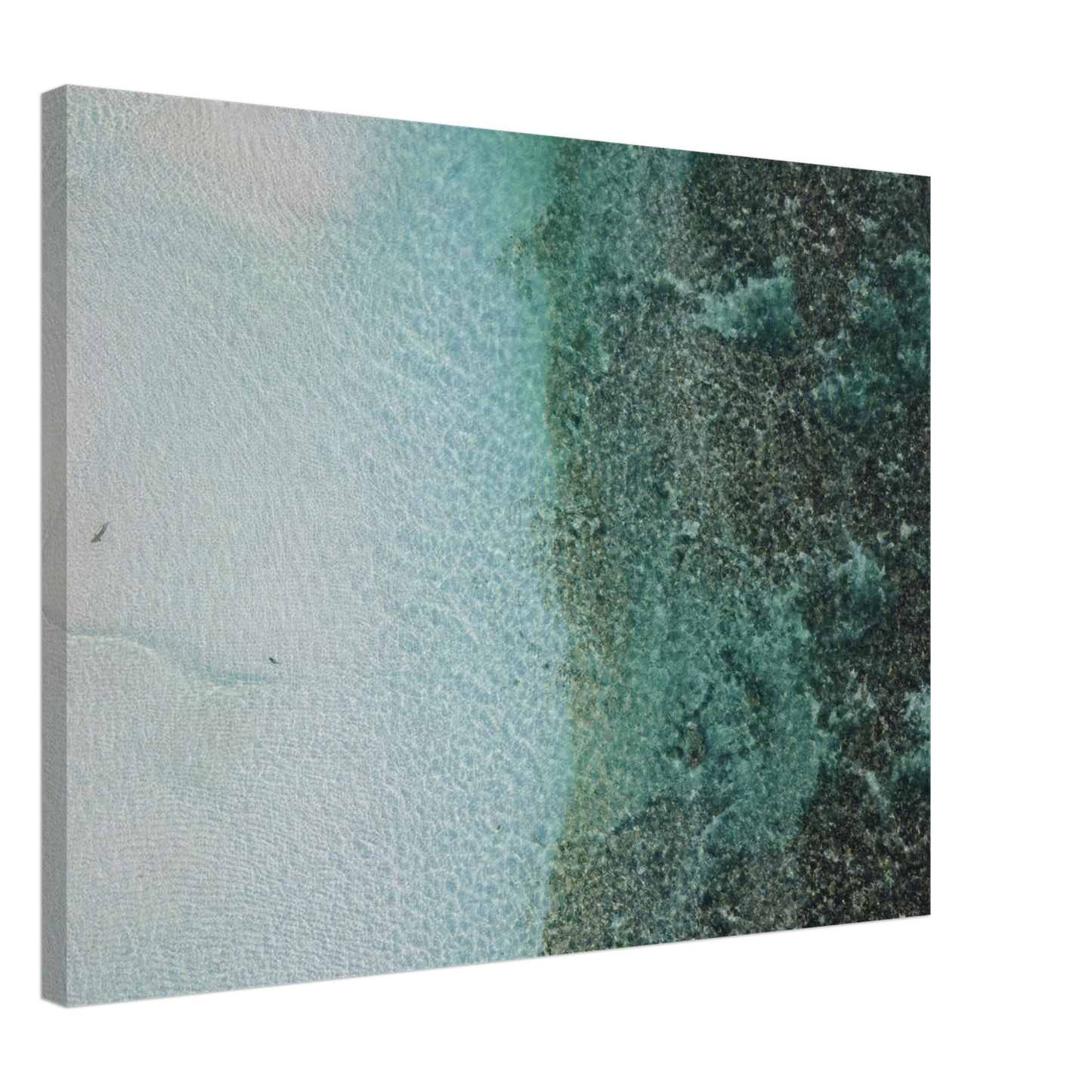 39fd43df-dddf-44f8-a174-deed81a41d9e