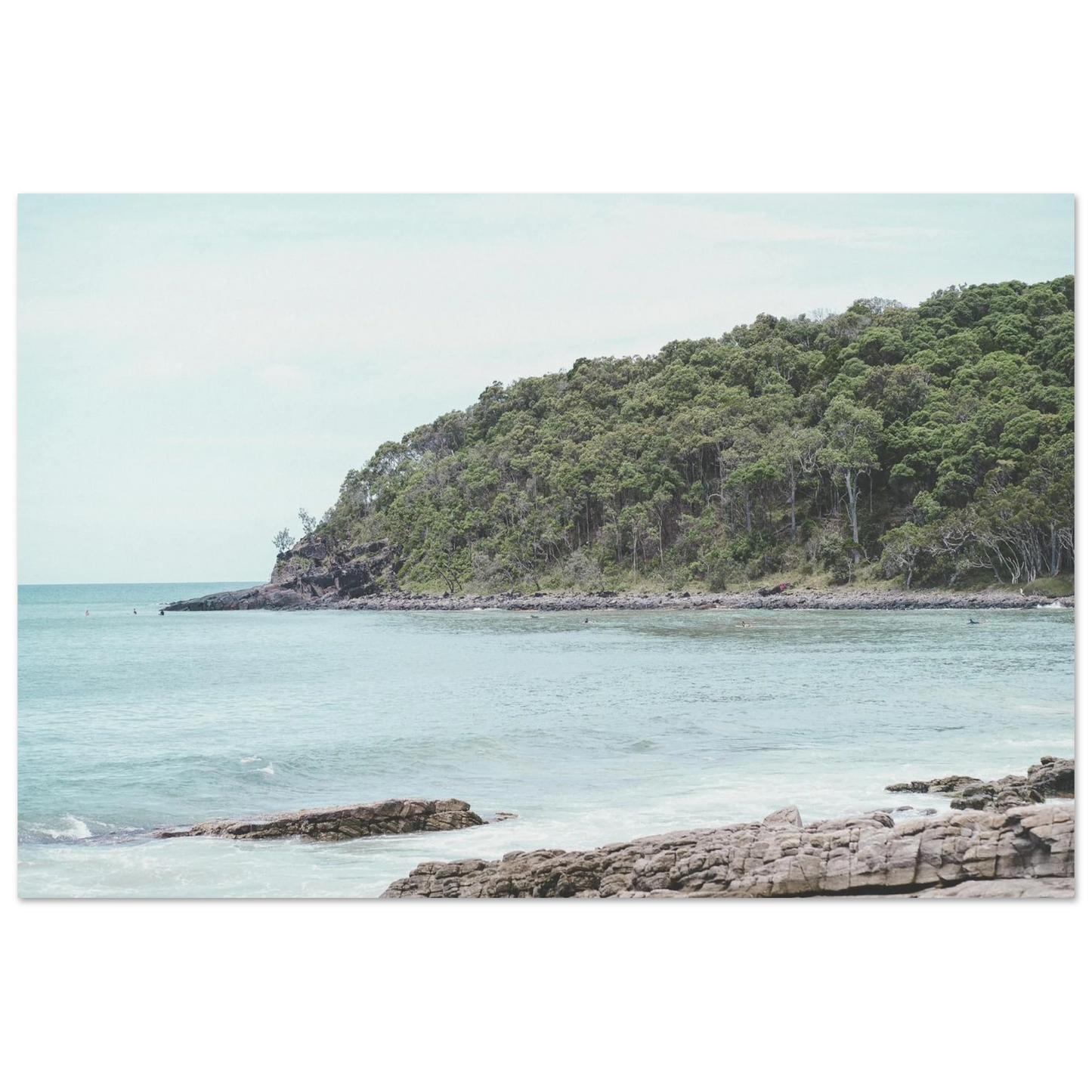 42df690c-f9cb-4c87-8d14-b2b867c8d9d8