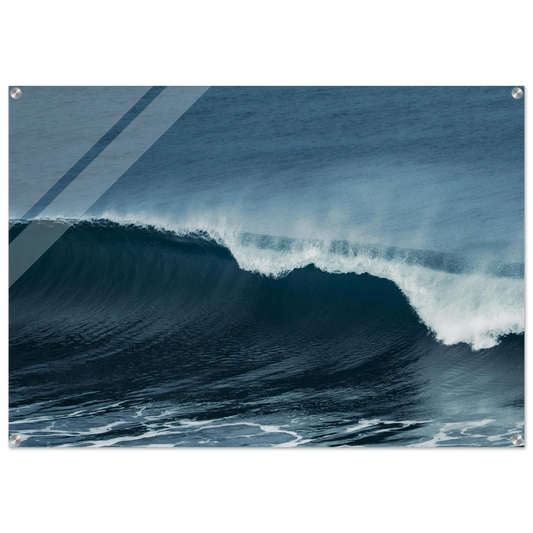 478d63f5-2ab8-454c-b91c-d19e18e7d705