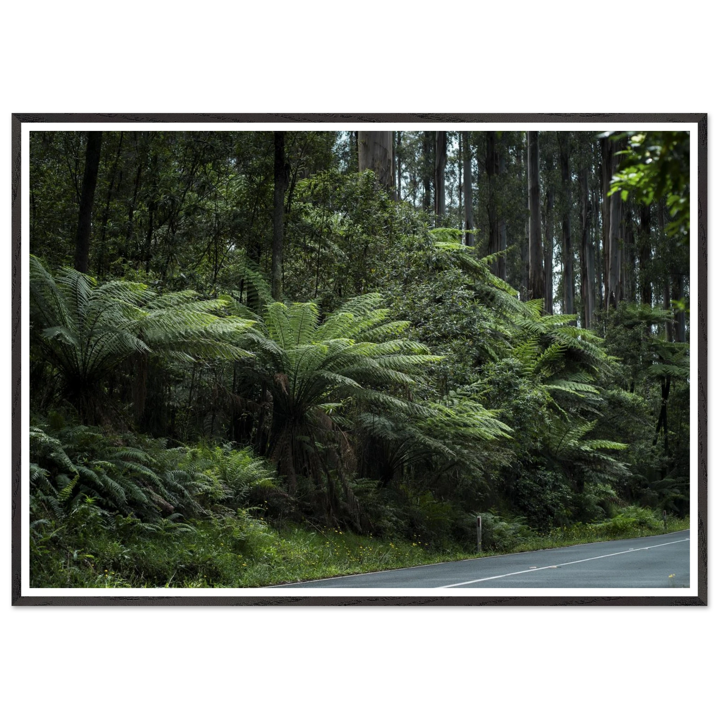 4a10bc95-e8f3-4aa0-9207-561087e69f39