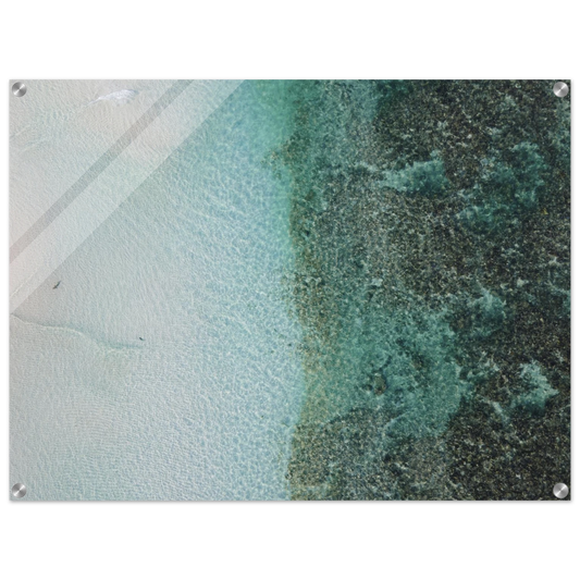 4c260003-91ec-49b9-a9c1-22cb4d74cacc