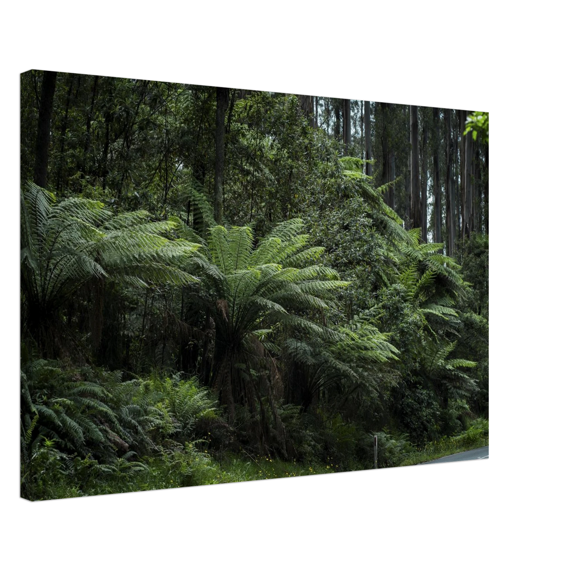 4c9b79d0-df82-4e3b-b42c-6f73154d88ca