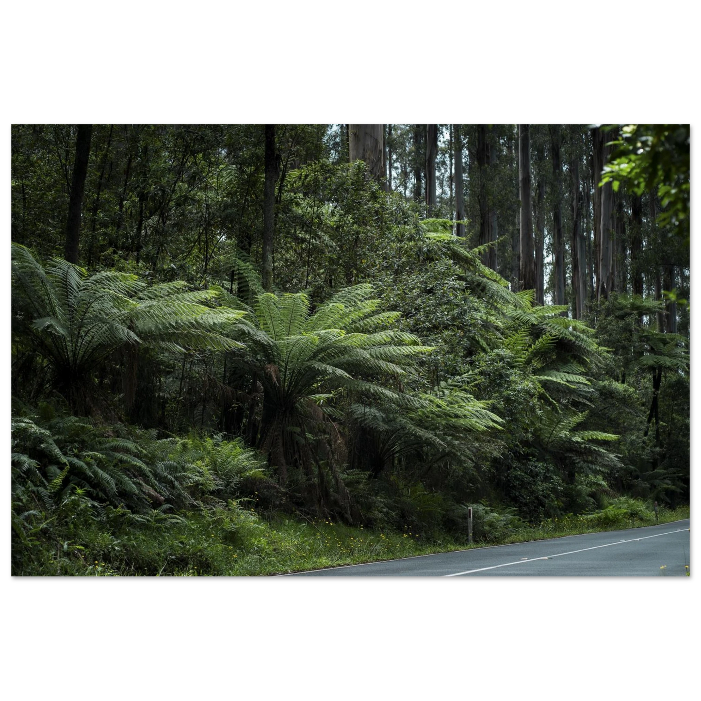 544e6c5f-cb6d-4eda-b88d-df5968c13a0d