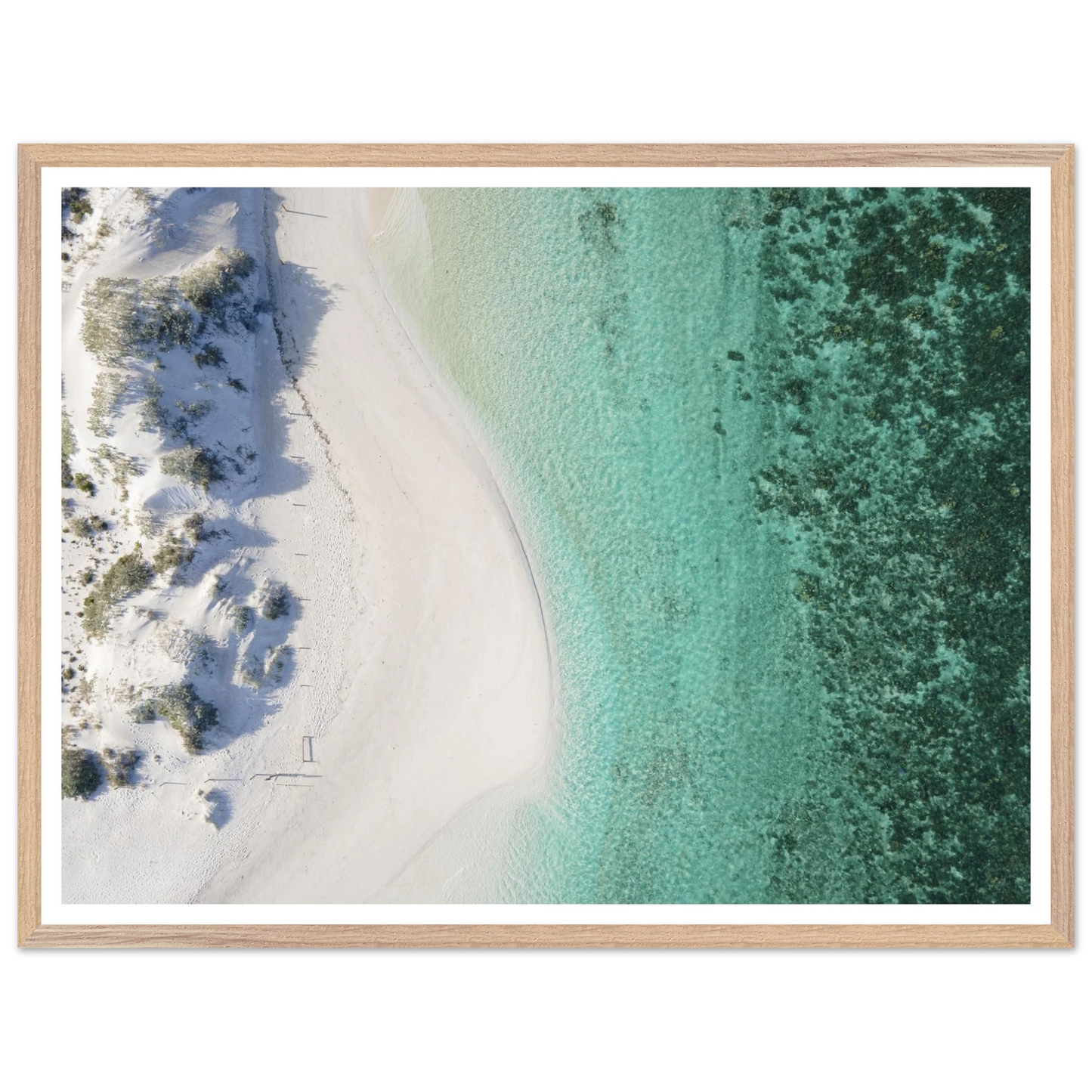 590cfe83-431d-437e-af68-6618144f09f9