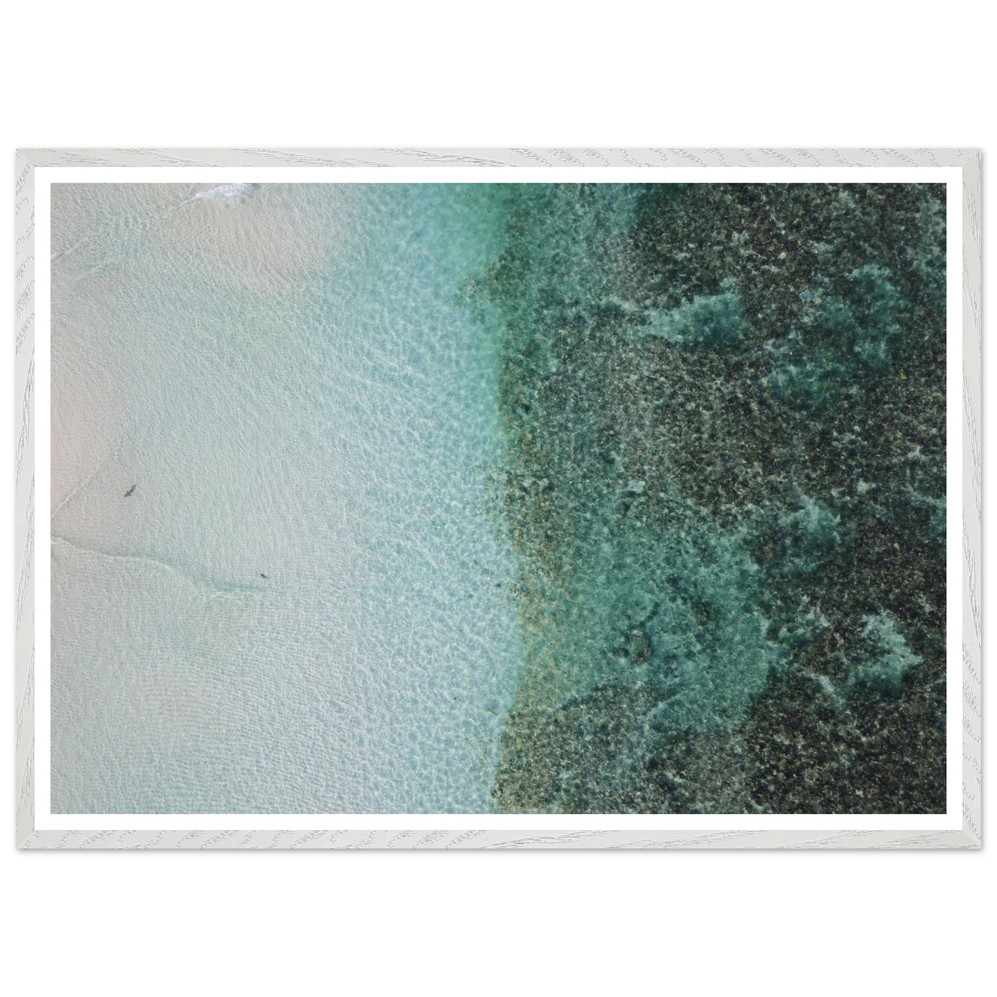 5a82d516-7d18-402b-ab13-c44af3c1df00