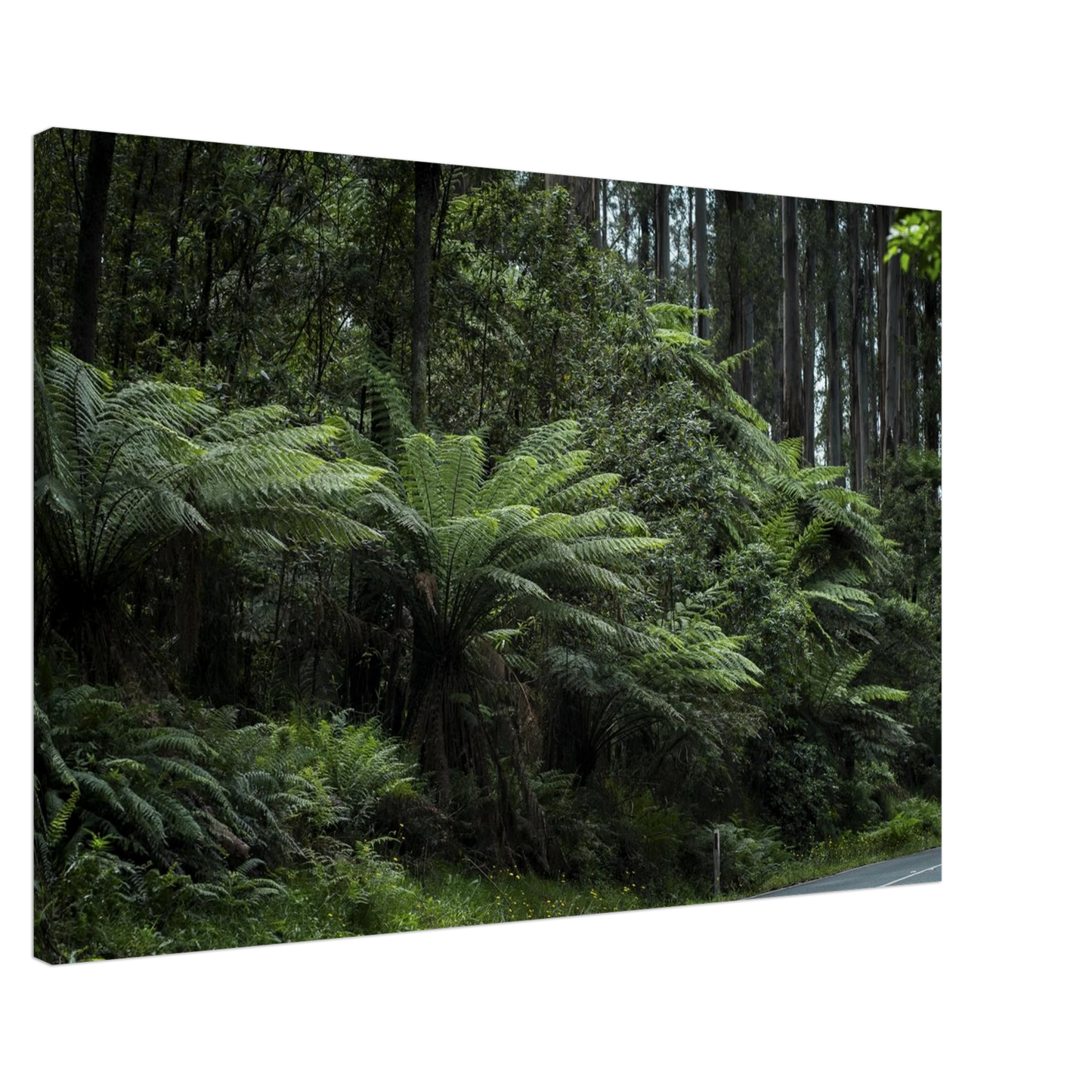 634d3732-c2f3-4463-9b28-96dceda4d00b