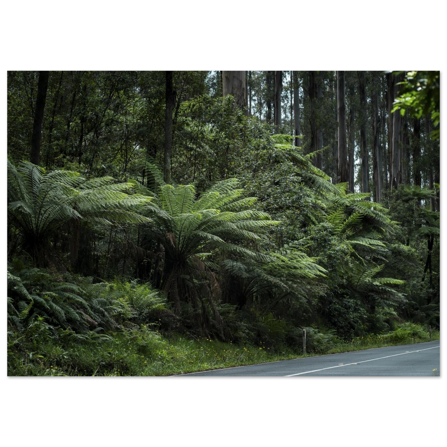 689dfe6f-6598-4c6c-9f0d-6dbaed5621f7