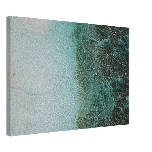 6a499e9b-2dac-458c-a4fe-89ca90ed373d