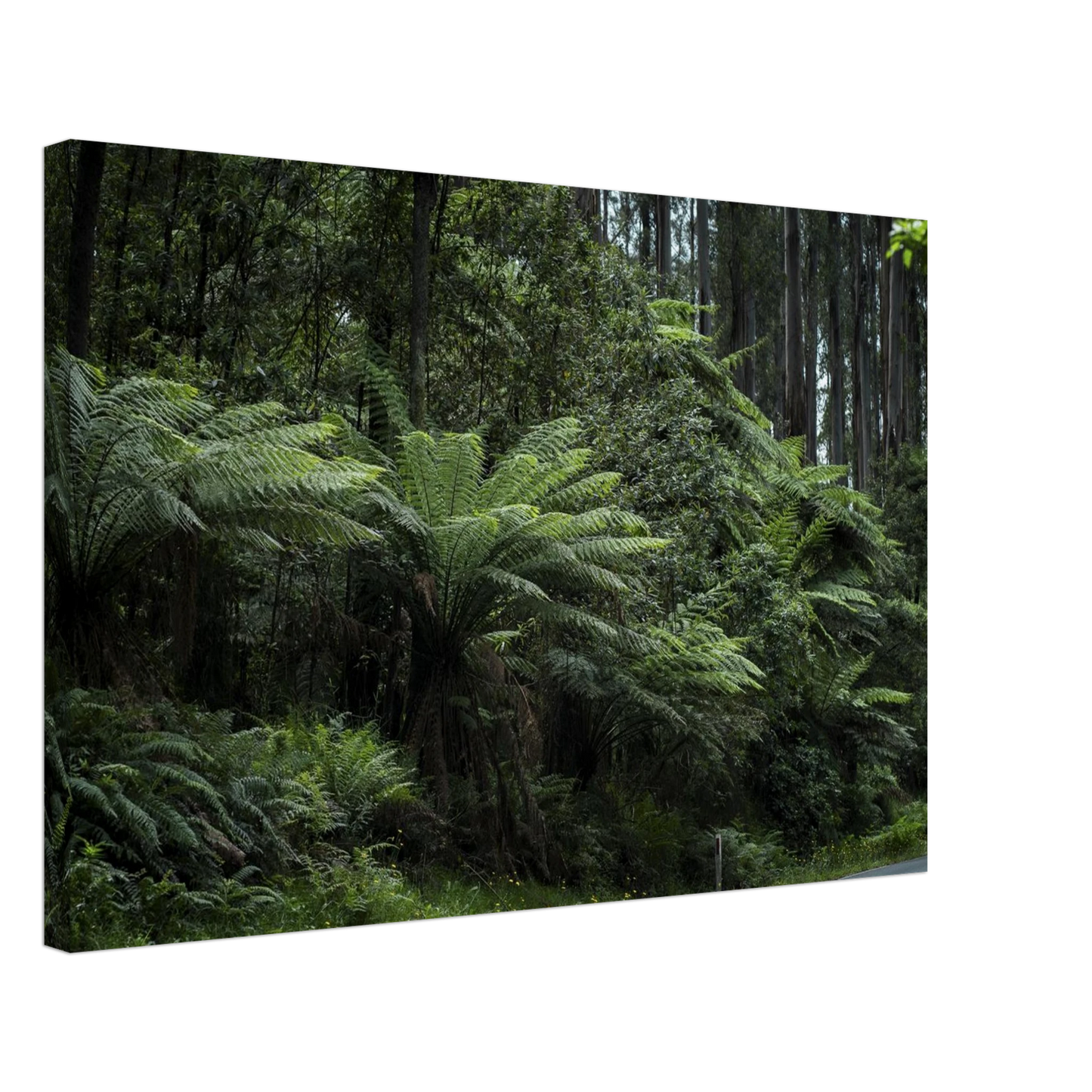 72ac5274-54b9-4242-aff3-216b9fc06a36