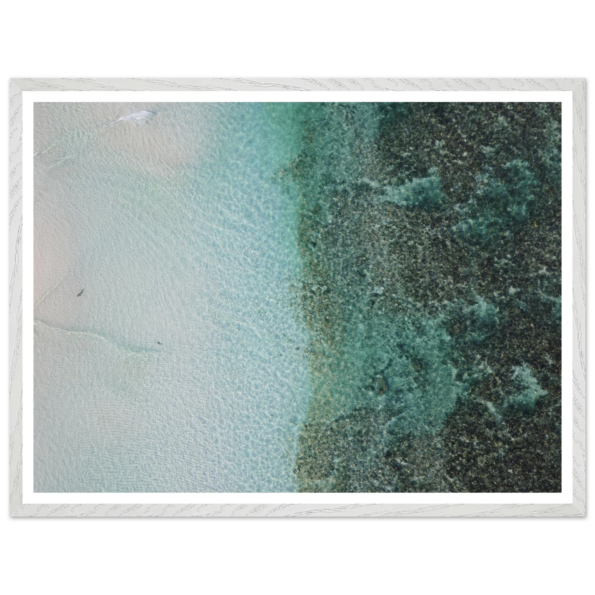 73c26007-bc5a-4115-863b-50588c4c5f62