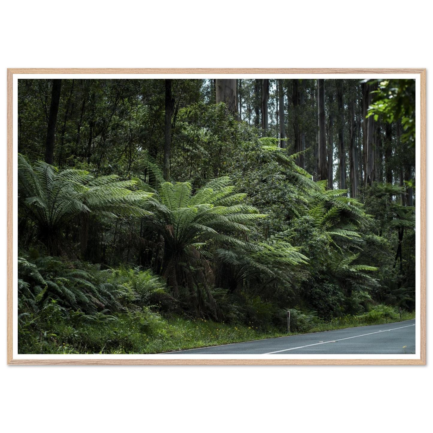 765ade48-4904-4b79-b937-a5a51b016a87