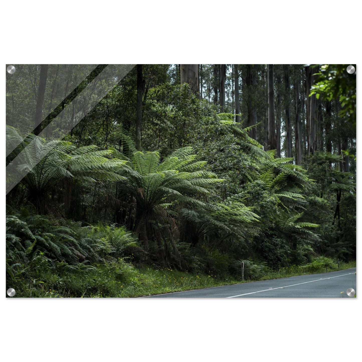 7785636a-02ae-432d-9eb8-20a95df4710d