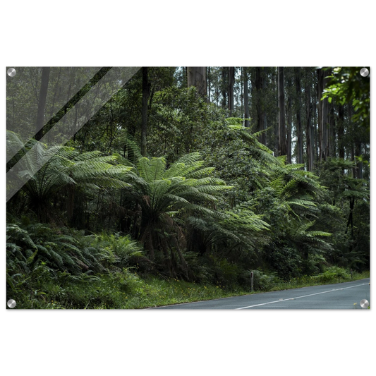 7785636a-02ae-432d-9eb8-20a95df4710d