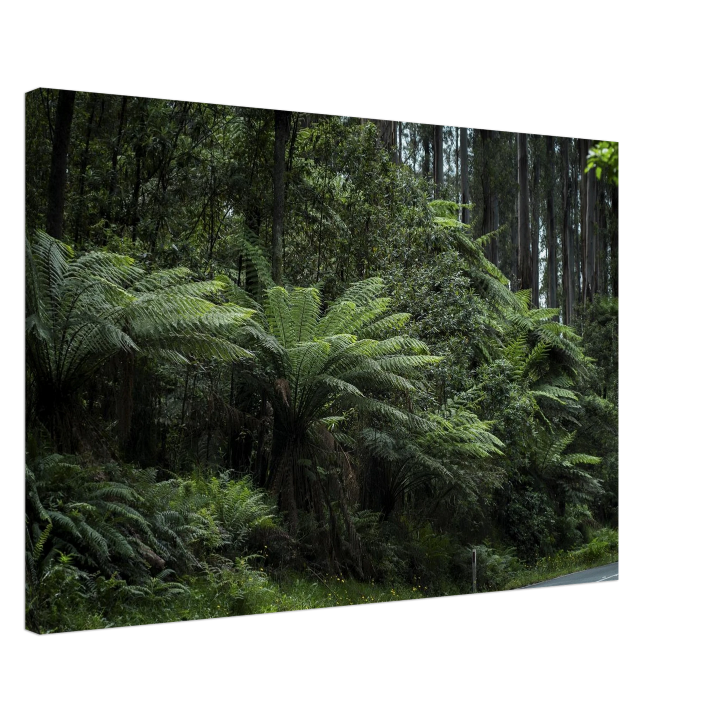 7a248926-df8f-40db-8640-46875f0946e5