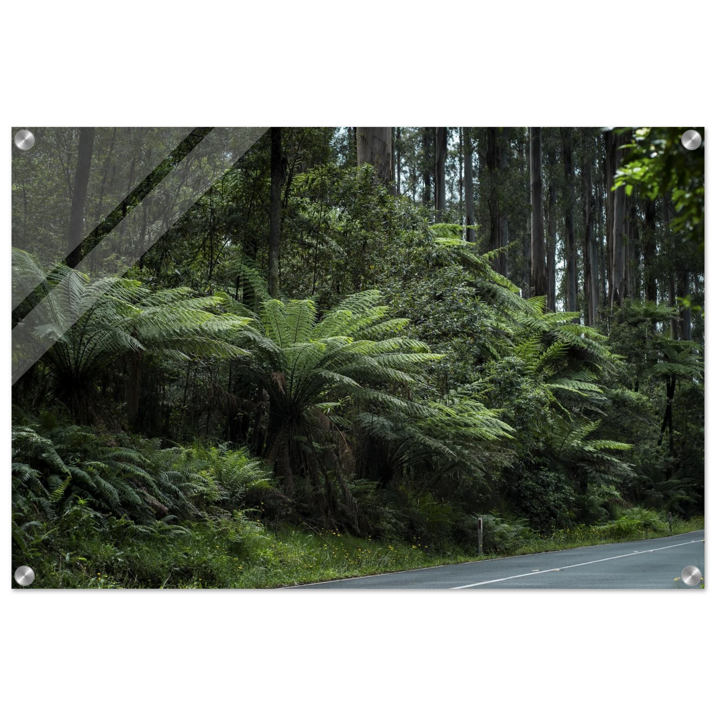 7f521dcb-0bf1-49ca-bd31-1a79ffbce374