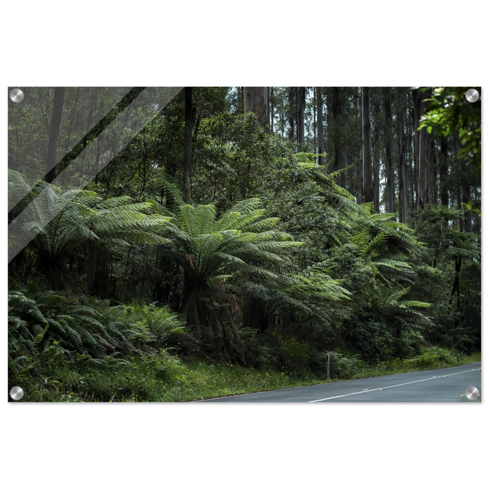 7f521dcb-0bf1-49ca-bd31-1a79ffbce374