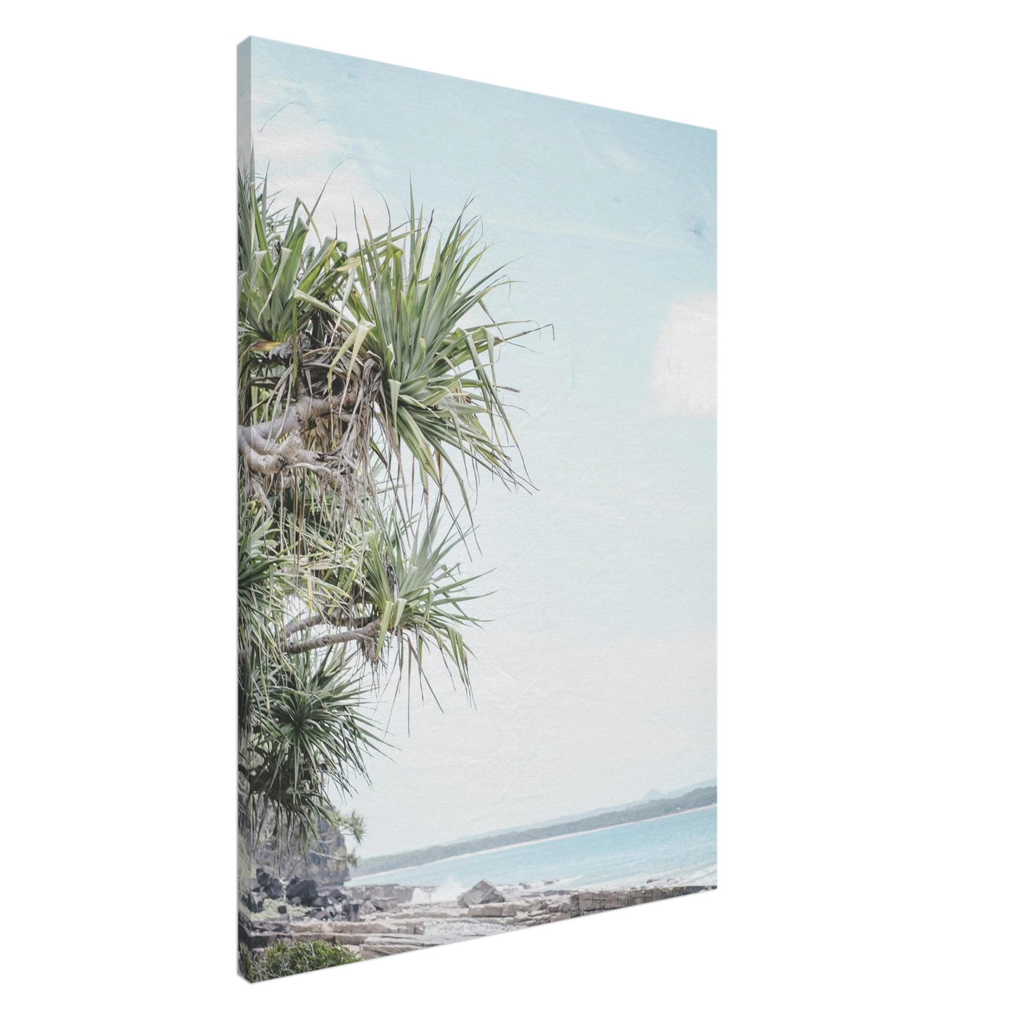 805dcba8-700a-439a-8e68-fd98782f8878