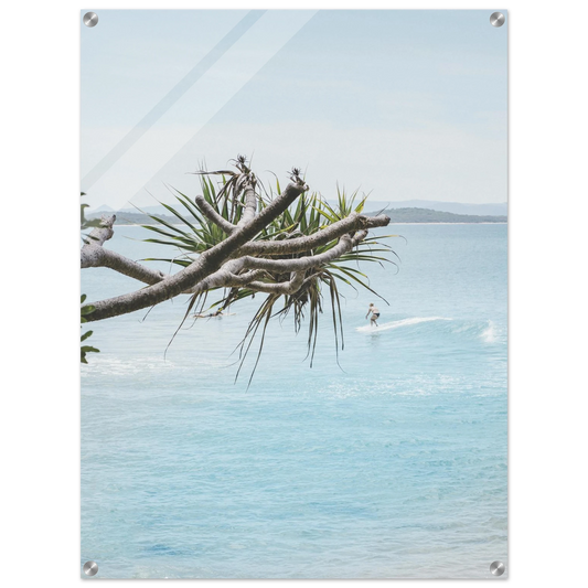 85422299-32c1-425e-9df9-338bd919e818