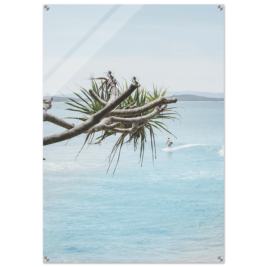 86c24c5c-e859-4fe1-b2d5-cfa6f7165f8f