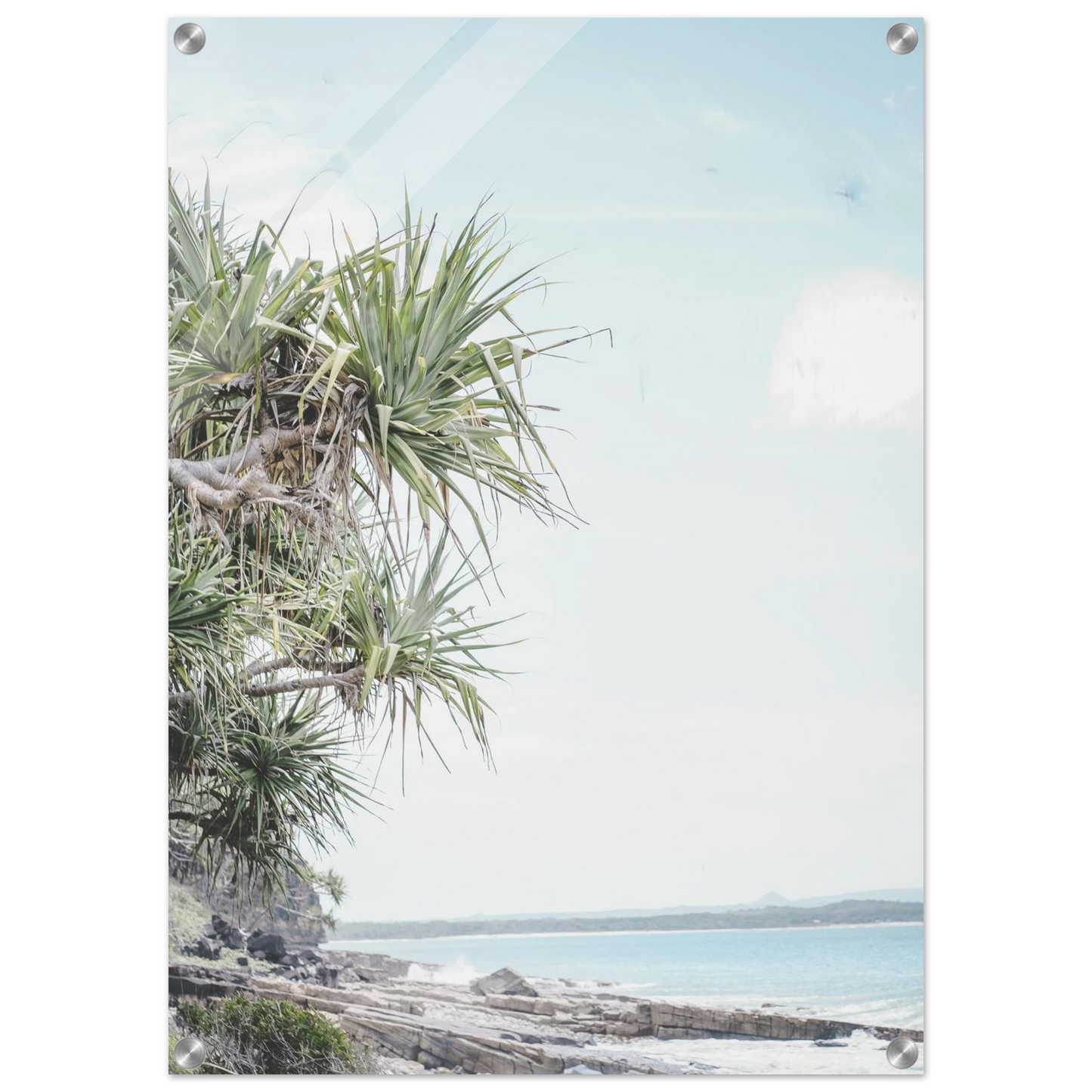 8b2ab344-5ec5-47bd-b920-52df23a26e52