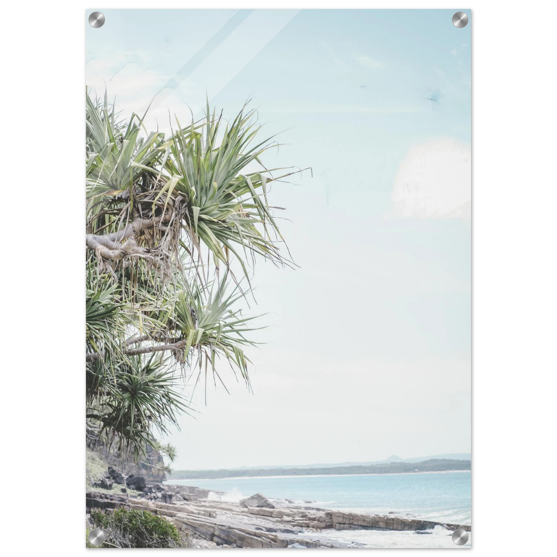 8b2ab344-5ec5-47bd-b920-52df23a26e52