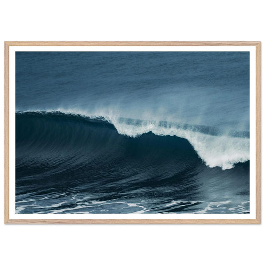 8dbd98cb-5afb-41a0-9b1c-efe5016ab488