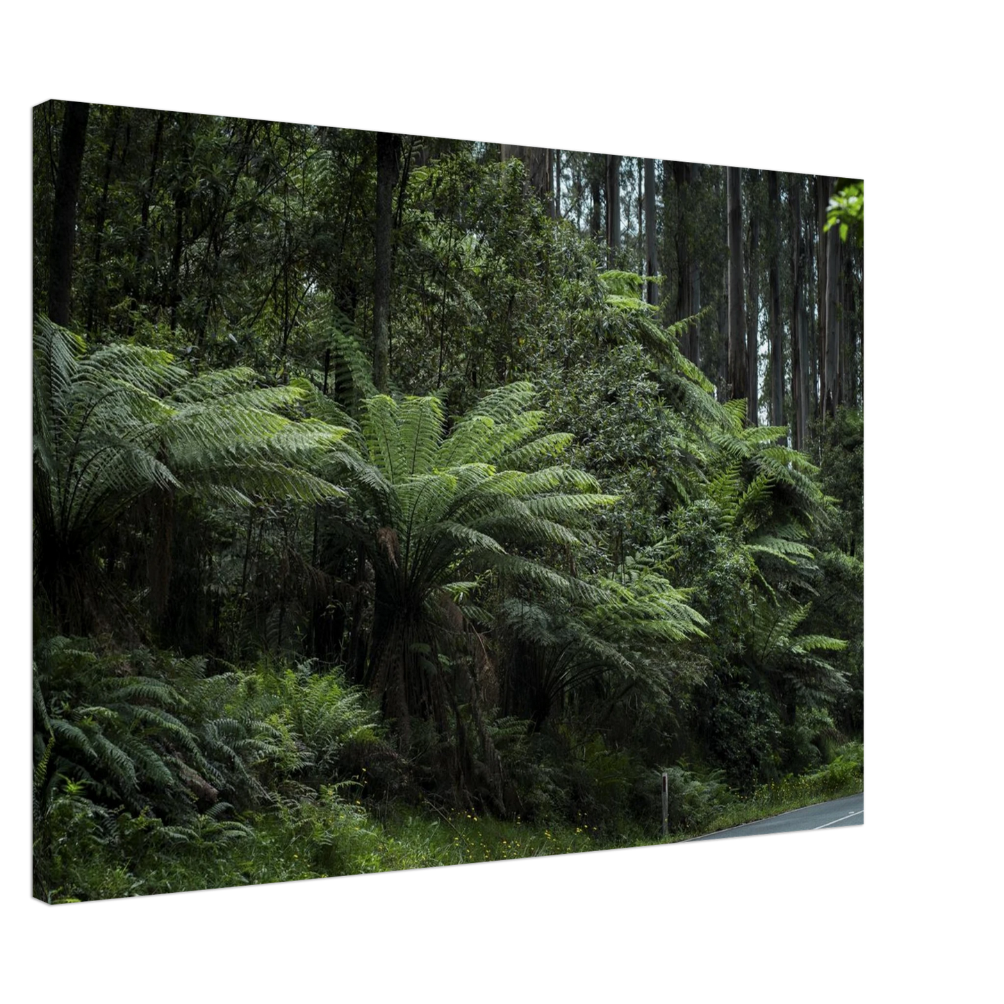 9a1475de-78ce-48c9-bf51-c930242bbec3