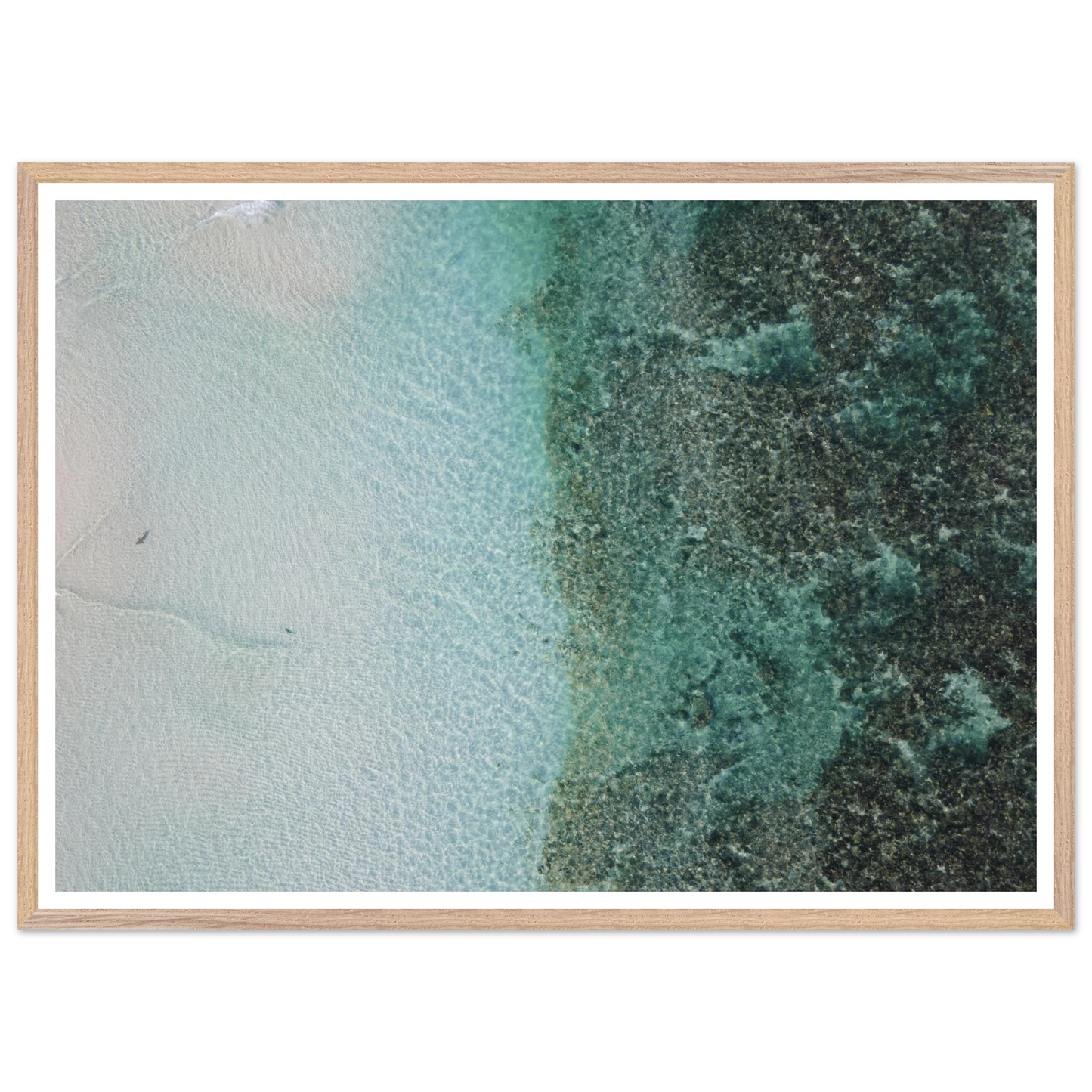 9e6cc41f-1324-45f9-925f-e258d4006d83