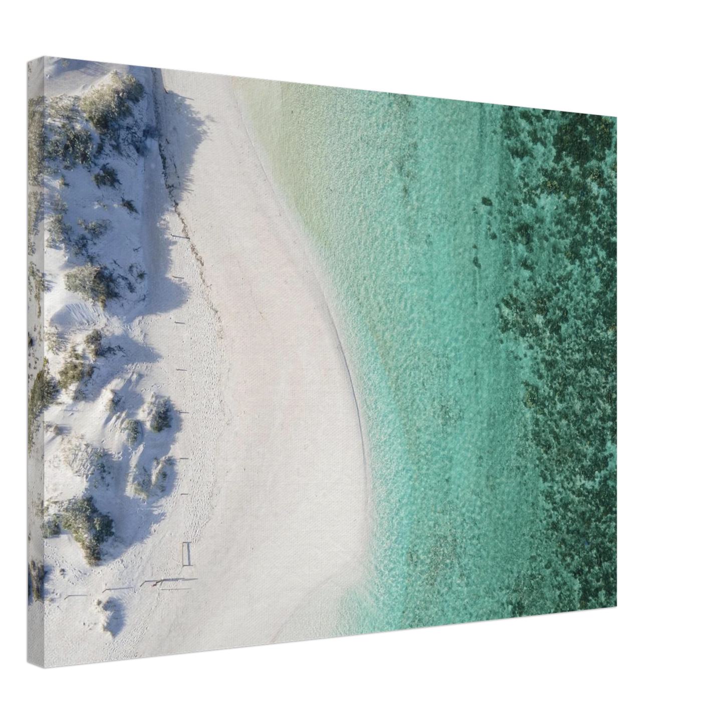 a37901b0-81d5-463b-9a83-d74bd223c526