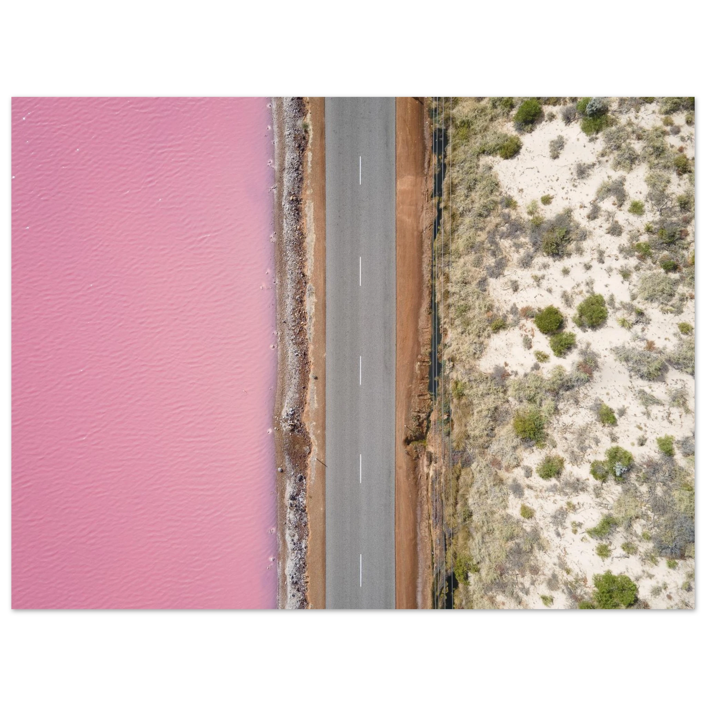 a3aaf596-25c9-4039-a509-c1053c64df4e