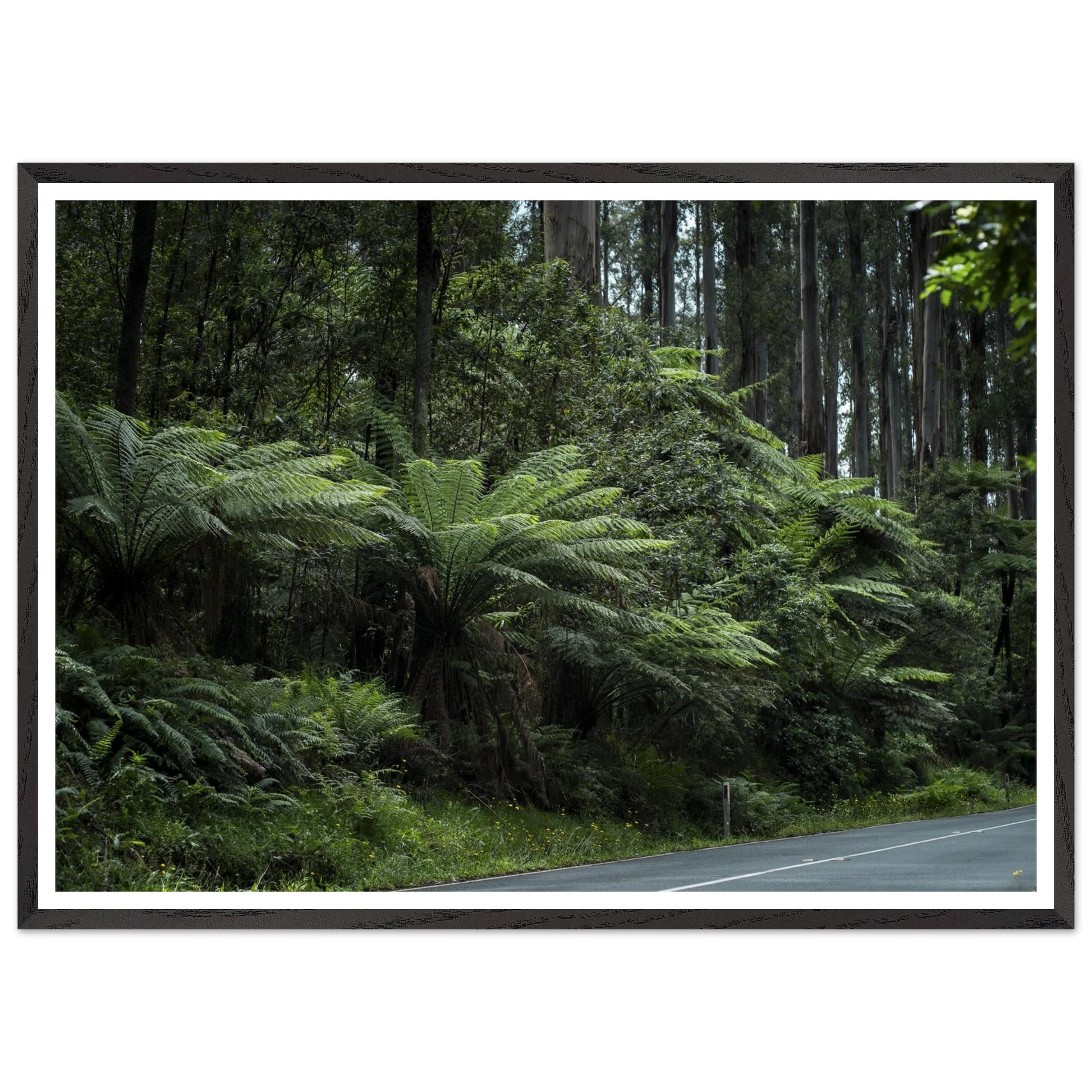 a3e86190-df67-40bc-8071-a294ac5dbefc