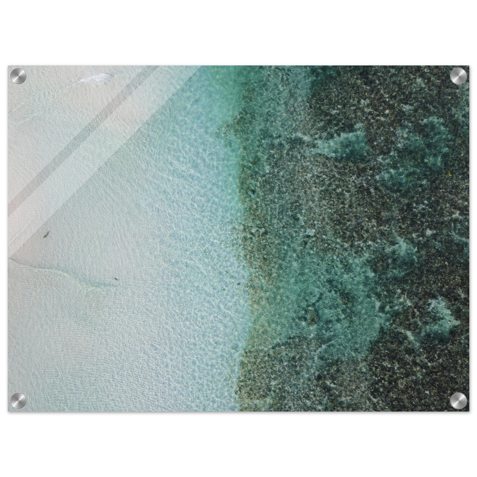 a5cce8d9-1735-4fc1-b42e-ebbf30f2c5ab