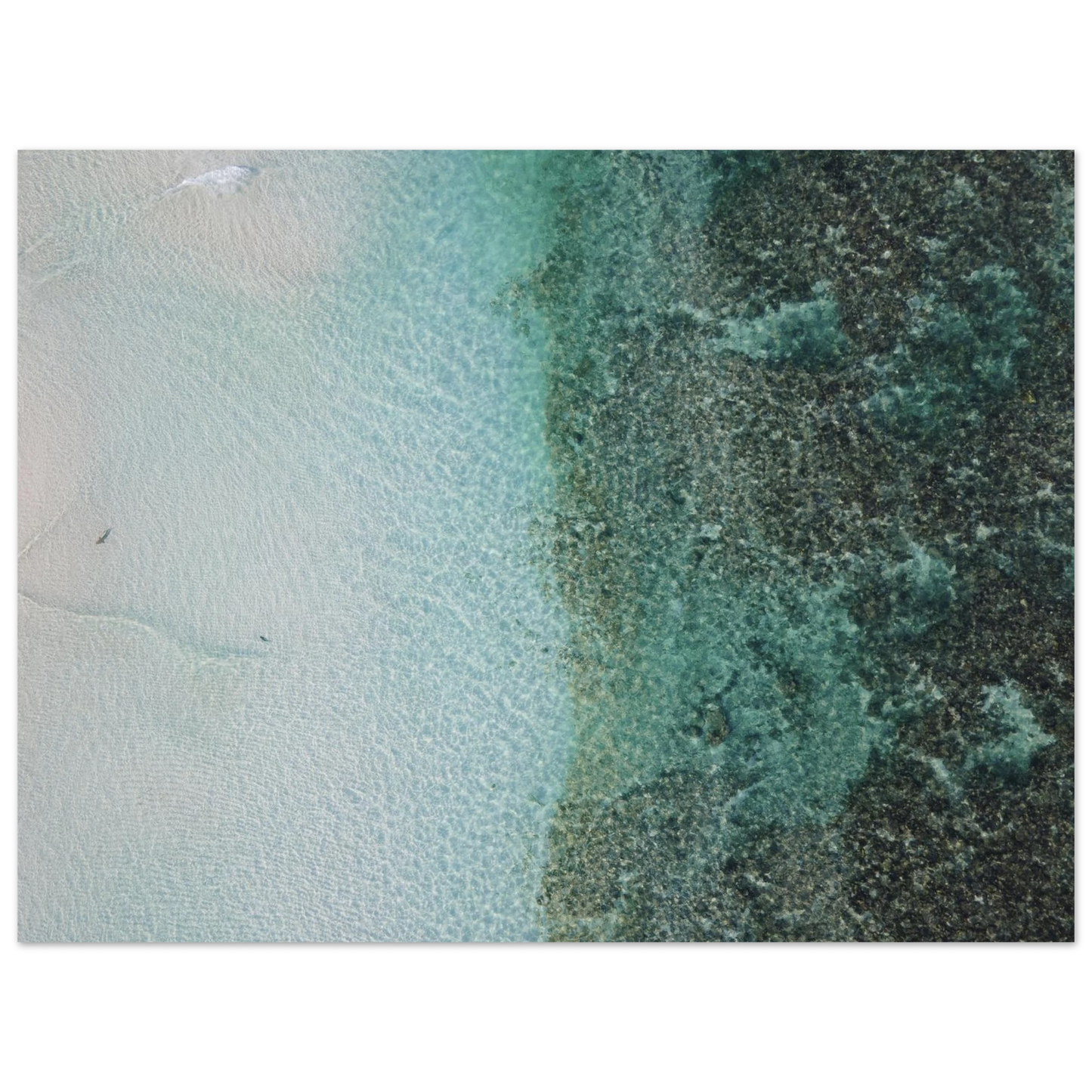 ac03fd11-0123-4427-a5c7-d9fb8e764e76