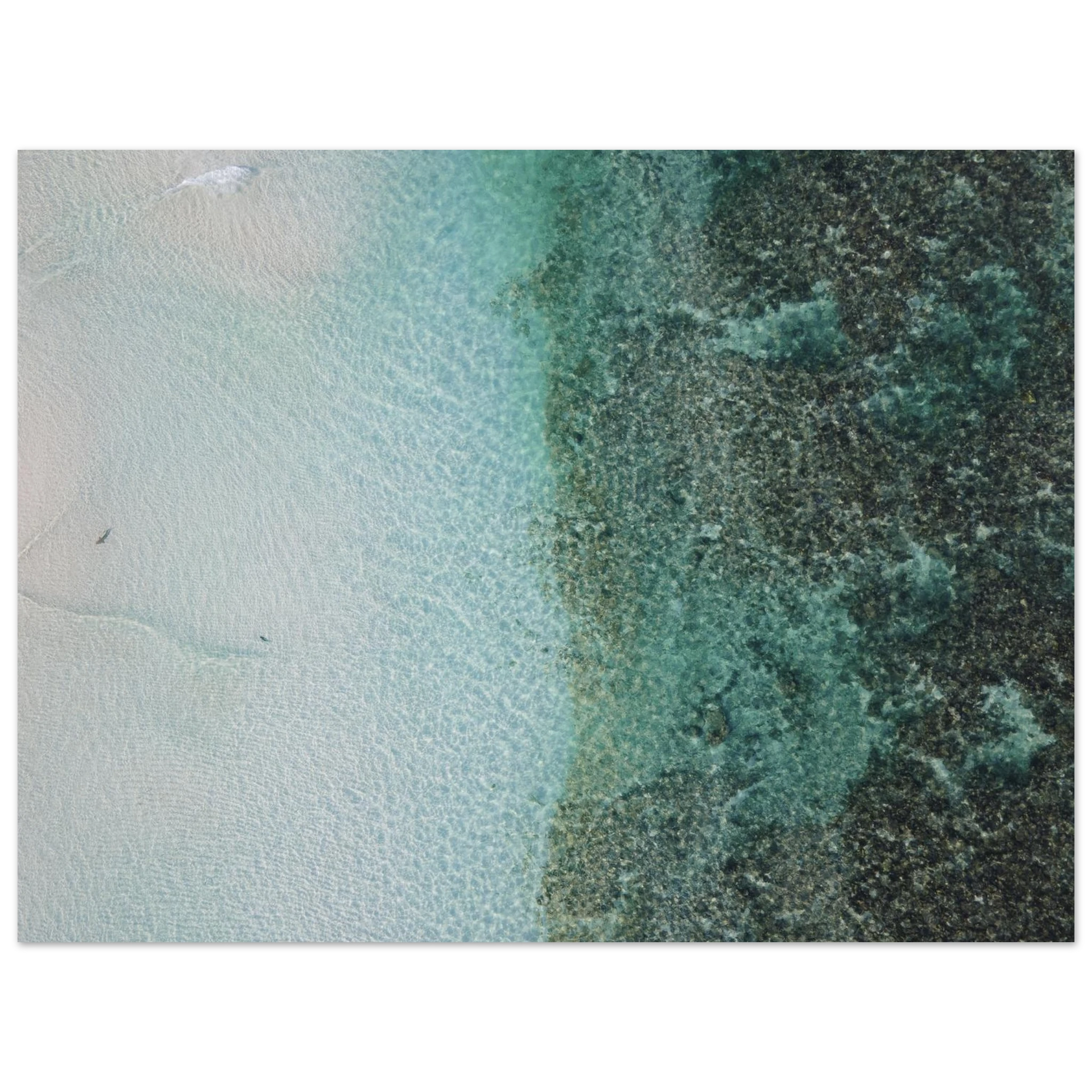 ac03fd11-0123-4427-a5c7-d9fb8e764e76