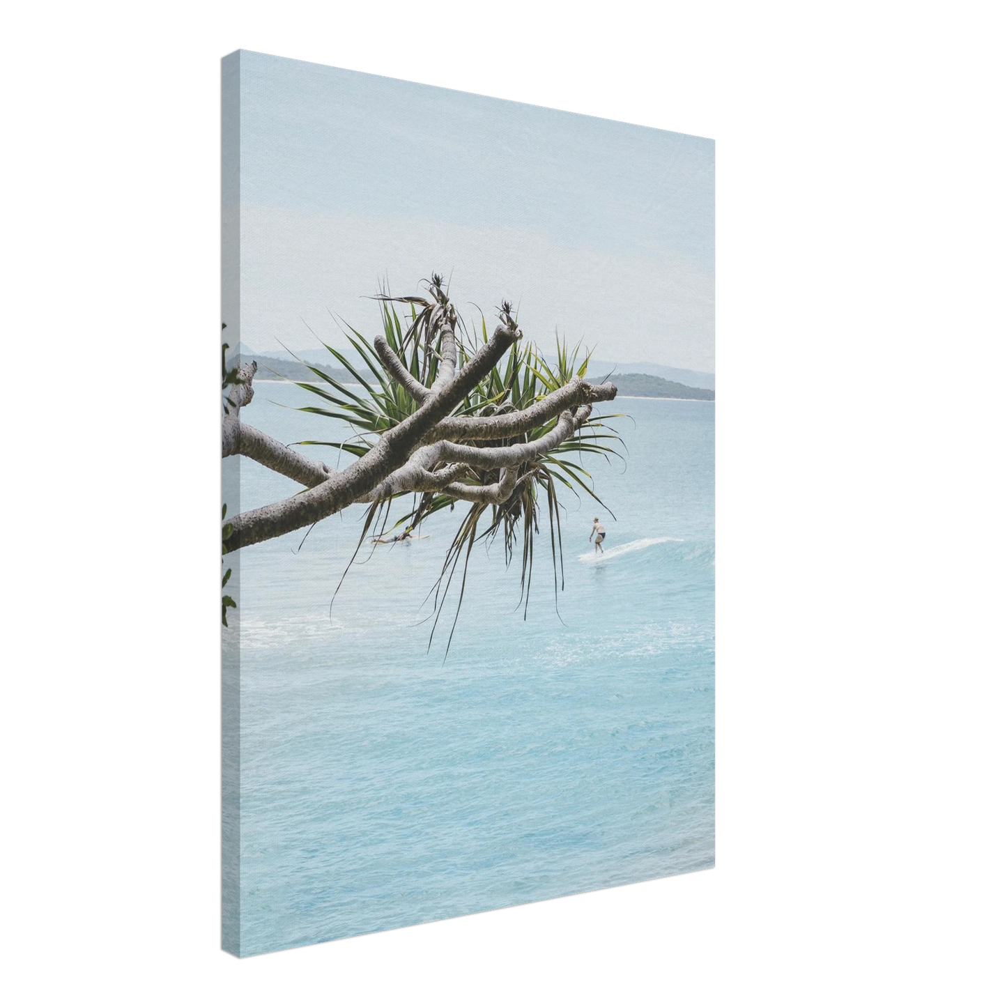 ac0d4881-df87-4c74-b3b0-11a1b8b986ec